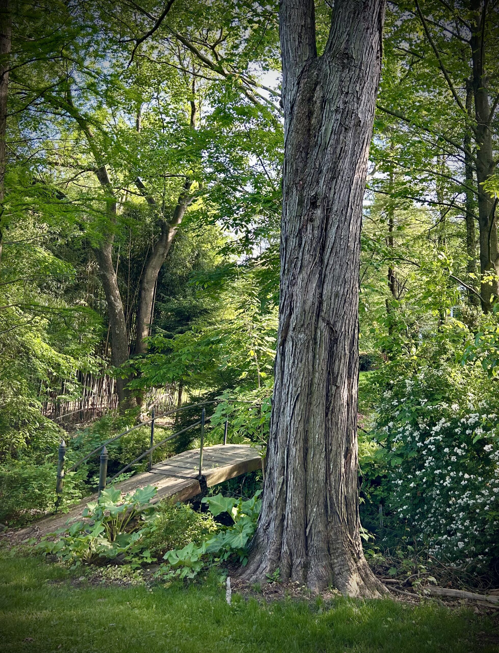 Function and Form (and why the first word in this title is one and not the other)